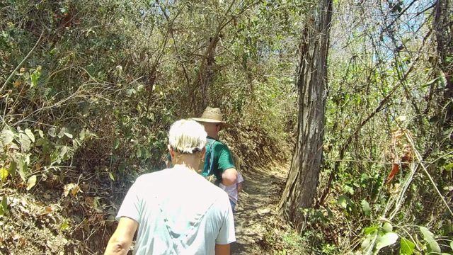 SAN PANCHO NAYARIT MEXICO-2022: Hikers Traversing a Narrow Forest Path