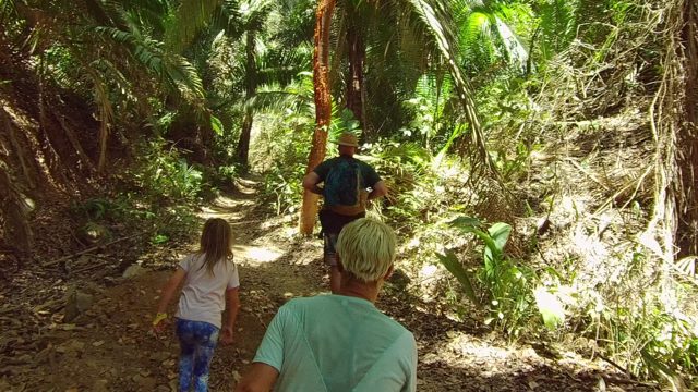 SAN PANCHO NAYARIT MEXICO-2022: People Walking Along a Forest Trail