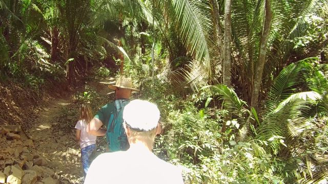 SAN PANCHO NAYARIT MEXICO-2022: Group Hiking Through a Lush Forest Trail