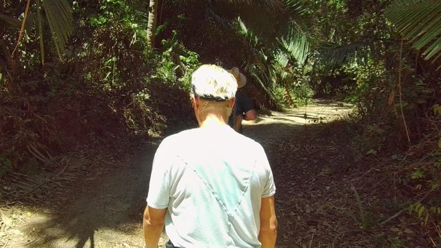 SAN PANCHO NAYARIT MEXICO-2022: Hikers Walking Along a Forest Trail