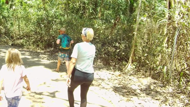 SAN PANCHO NAYARIT MEXICO-2022: Group Walking Along Forest Trail
