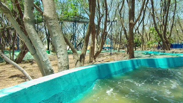 GUADALAJARA MEXICO-2022: Water Channel Flowing Through Park Trees