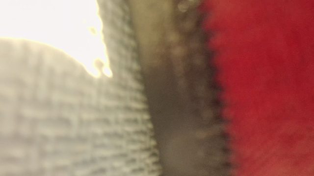 Close-up of Zipper Unzipping on Fabric