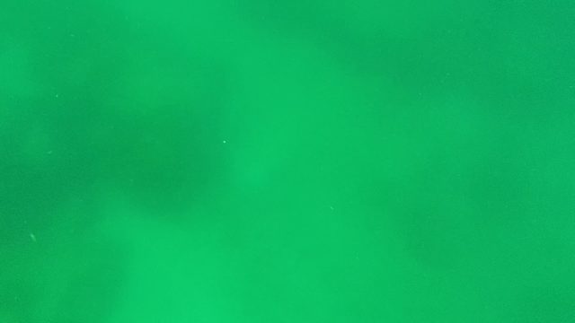Blurred Green Fluid with Moving Particles