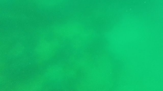 Bubbles Rising Through Green Water