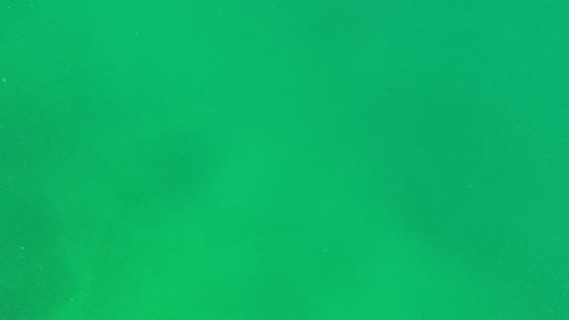 Underwater View of Clear Green Ocean Water