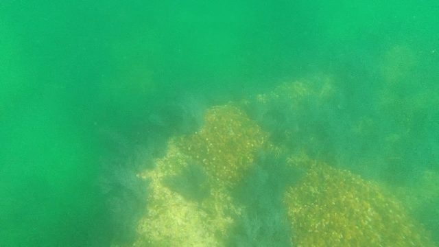 Underwater Seabed with Rock Formations and Seaweed