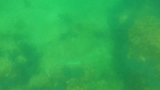 Fish Swimming Through Underwater Rocky Terrain