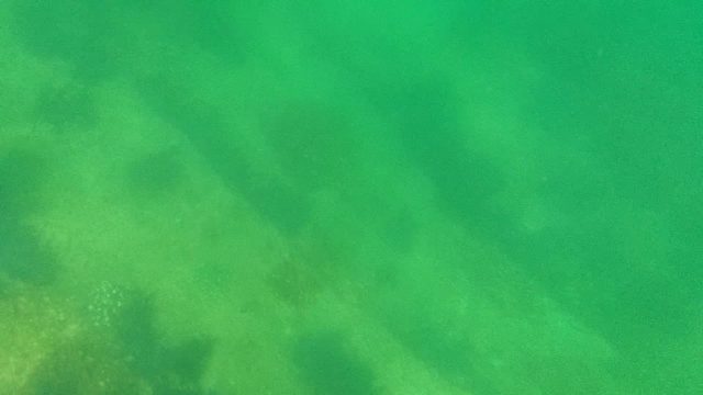 Underwater Seabed with Algae and Rocky Formations