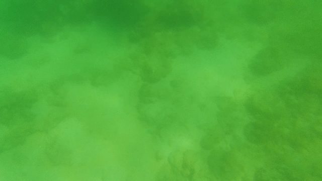 Underwater Seabed with Coral and Sand