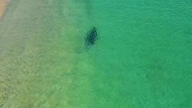 Swimmer in Clear Shallow Ocean Water