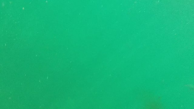 CABO PULMO BCS MEXICO-2022: Underwater View of Green Water with Floating Particles