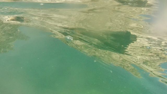 CABO PULMO BCS MEXICO-2022: Underwater Snorkelers in Clear Turquoise Water