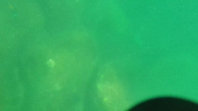 CABO PULMO BCS MEXICO-2022: Underwater View of Rocky Riverbed with Small Fish