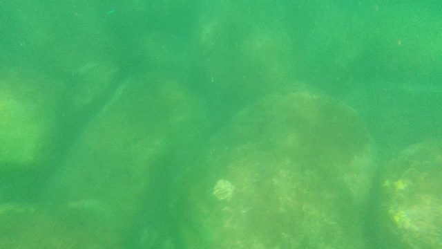 CABO PULMO BCS MEXICO-2022: Underwater View of Rocky Stream Bed
