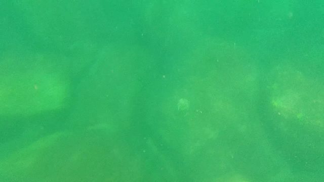 CABO PULMO BCS MEXICO-2022: Underwater View of Rocky Stream Bed in Green Water