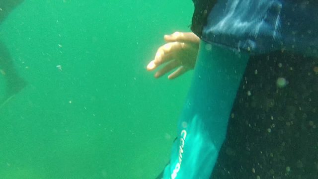 CABO PULMO BCS MEXICO-2022: Swimmer in Wetsuit Moving Underwater