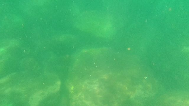 CABO PULMO BCS MEXICO-2022: Underwater View of Rocky Riverbed