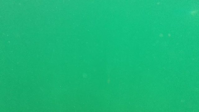 CABO PULMO BCS MEXICO-2022: Underwater View of Green Water with Floating Particles