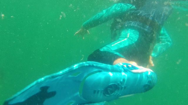 CABO PULMO BCS MEXICO-2022: Diver and Sea Lion Swimming Underwater
