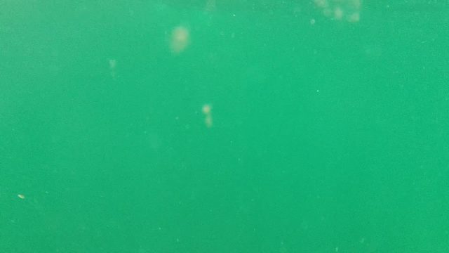 CABO PULMO BCS MEXICO-2022: Underwater Descent Through Clear Turquoise Water