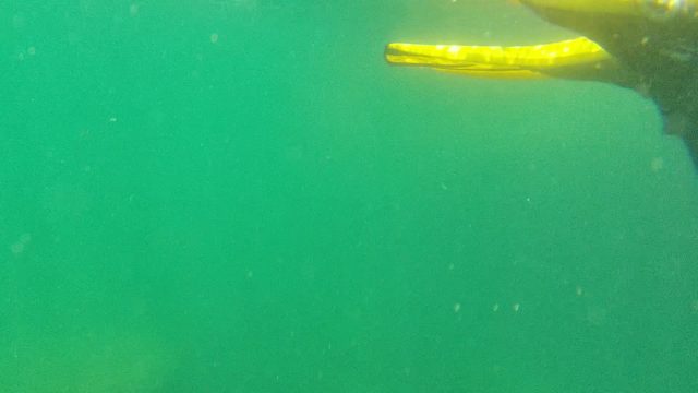 CABO PULMO BCS MEXICO-2022: Diver and Yellow Boat Moving Underwater