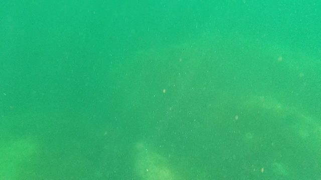 CABO PULMO BCS MEXICO-2022: Underwater View of Rocky Seabed with Floating Particles