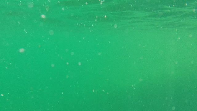CABO PULMO BCS MEXICO-2022: Underwater Swimmers in Clear Green Water