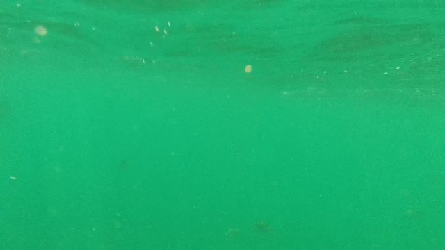 CABO PULMO BCS MEXICO-2022: Underwater Swimmer with Flippers in Green Sea Water