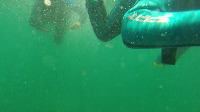 CABO PULMO BCS MEXICO-2022: Underwater Swimmers in Wetsuits Moving Away