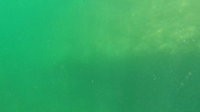 CABO PULMO BCS MEXICO-2022: Underwater View of Green Water with Floating Particles