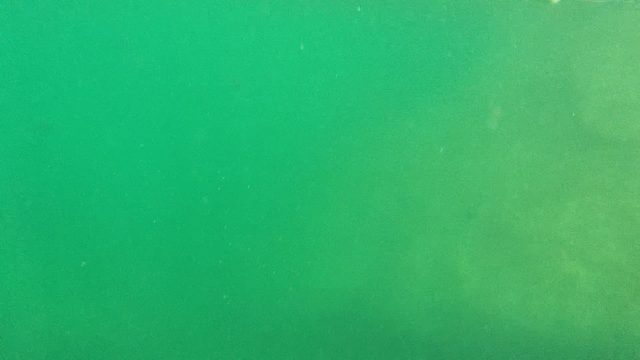 CABO PULMO BCS MEXICO-2022: Underwater View of Shallow Sandy Seabed with Small Fish