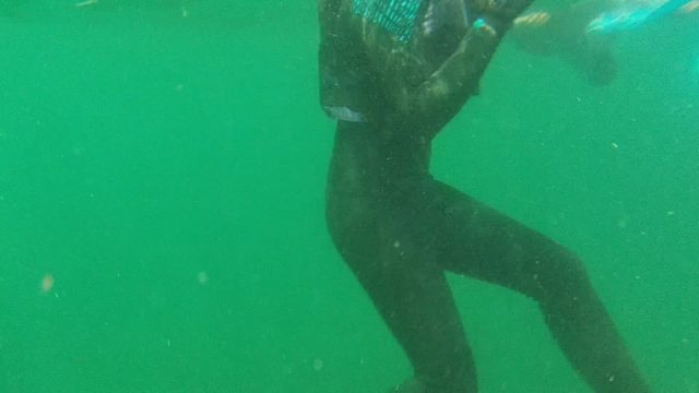 CABO PULMO BCS MEXICO-2022: Diver in Wetsuit Swimming with Yellow Fins Underwater