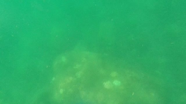 CABO PULMO BCS MEXICO-2022: Diver's Hand Underwater Transitioning to Surface