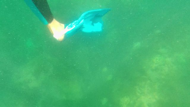 CABO PULMO BCS MEXICO-2022: Swimmer's Blue Flippers Moving Underwater