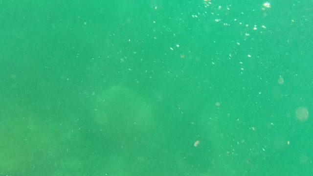 CABO PULMO BCS MEXICO-2022: Underwater View of Person Bodyboarding in Clear Green Water