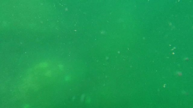 CABO PULMO BCS MEXICO-2022: Sunlight Transition to Underwater Scene