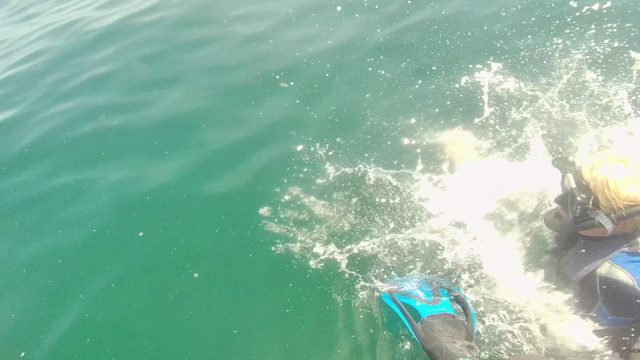 CABO PULMO BCS MEXICO-2022: Snorkelers Swimming in Clear Ocean Water