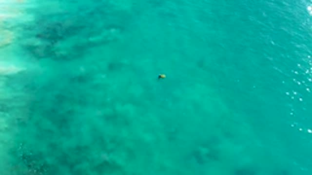 LA FORTUNA EAST CAPE BCS MEXICO-2022: Snorkeler Floating in Clear Turquoise Water