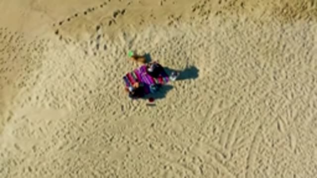 LA FORTUNA EAST CAPE BCS MEXICO-2022: People and Dog on Striped Beach Blanket