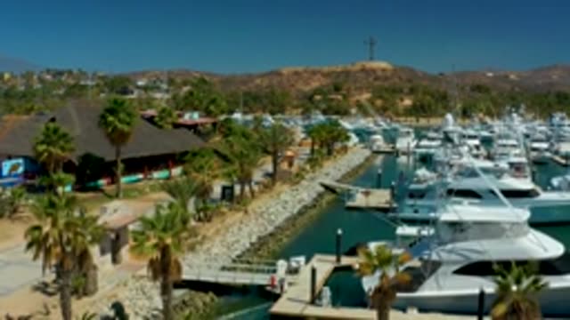 PUERTO LOS CABOS BCS MEXICO-2022: People Walking near Marina Dock with Boats and Palm Trees
