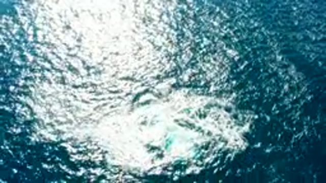 BUZZARDS EAST CAPE LOS CABOS BCS MEXICO-2022: Ocean Wake Fading in Sunlight