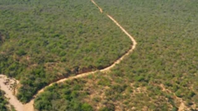EL SALADO VIEJO LOS CABOS BCS MEXICO-2022: Winding Dirt Path Through Lush Green Bushland