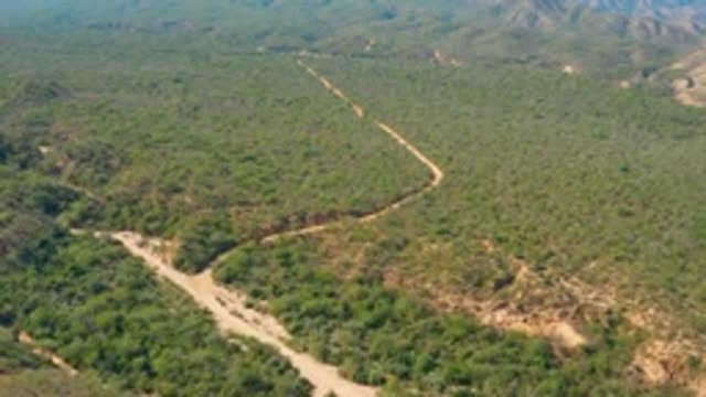 EL SALADO VIEJO LOS CABOS BCS MEXICO-2022: Dirt Road Winding Through Forested Hills
