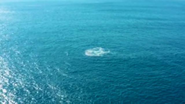 BUZZARDS EAST CAPE LOS CABOS BCS MEXICO-2022: Whale Surfacing and Creating Ocean Splash