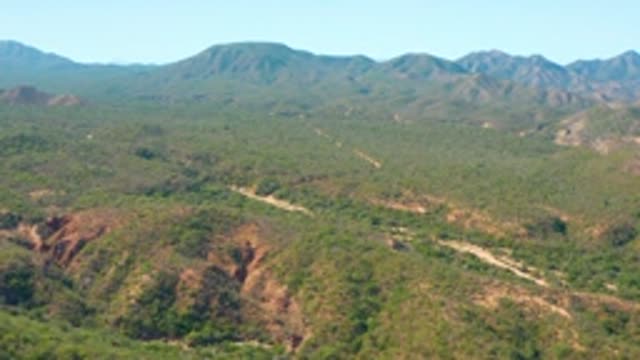 EL SALADO VIEJO LOS CABOS BCS MEXICO-2022: Winding Dirt Road Through Mountainous Green Landscape