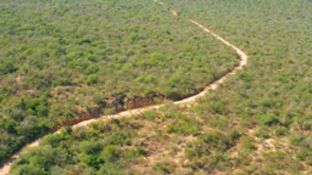 EL SALADO VIEJO LOS CABOS BCS MEXICO-2022: Vehicle Traveling on Winding Dirt Road Through Dense Green Bushland