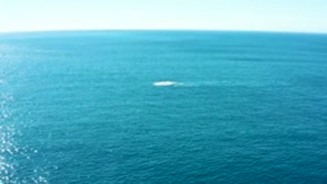 BUZZARDS EAST CAPE LOS CABOS BCS MEXICO-2022: Whale Spout in Calm Ocean Waters