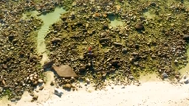 EL TULE LOS CABOS BCS MEXICO-2022: Person Moving Through Rocky Shallow Stream