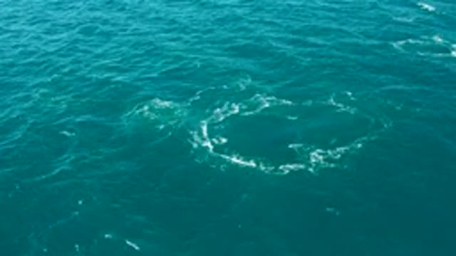 EL TULE LOS CABOS BCS MEXICO-2022: Shifting Ocean Vortex and White Foam Patterns